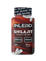 Inlead Shilajit 120 Kapseln